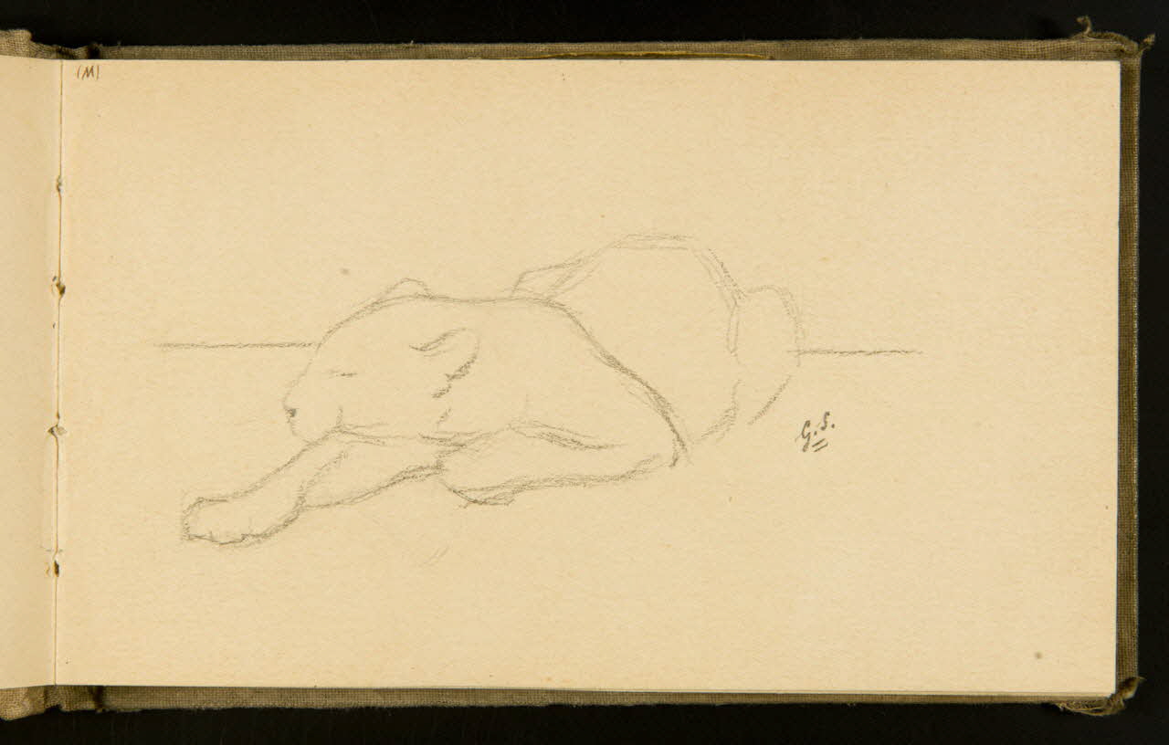 Gustave Soury carnet de dessins Félin mâle couché 1903 1967.116.915.4 Photo