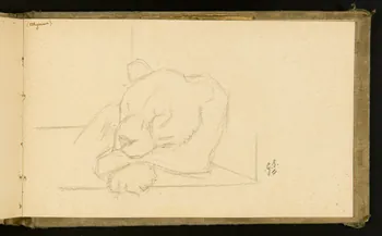 Gustave Soury carnet de dessins Lionne endormie 1903 1967.116.915.40 Photo