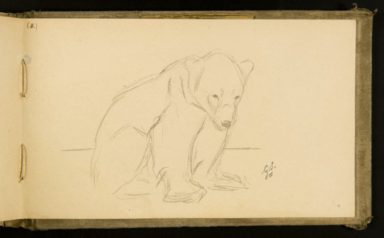 Gustave Soury carnet de dessins Ours brun 1903 1967.116.915.41 Photo