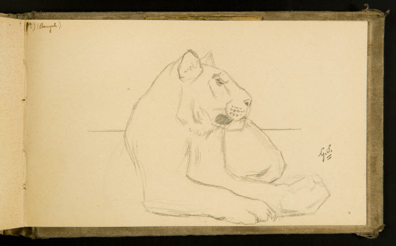 Gustave Soury carnet de dessins Tigresse couchée 1903 1967.116.915.42 Photo