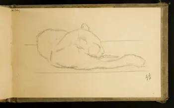 Gustave Soury carnet de dessins Félin couché 1903 1967.116.915.43 Photo