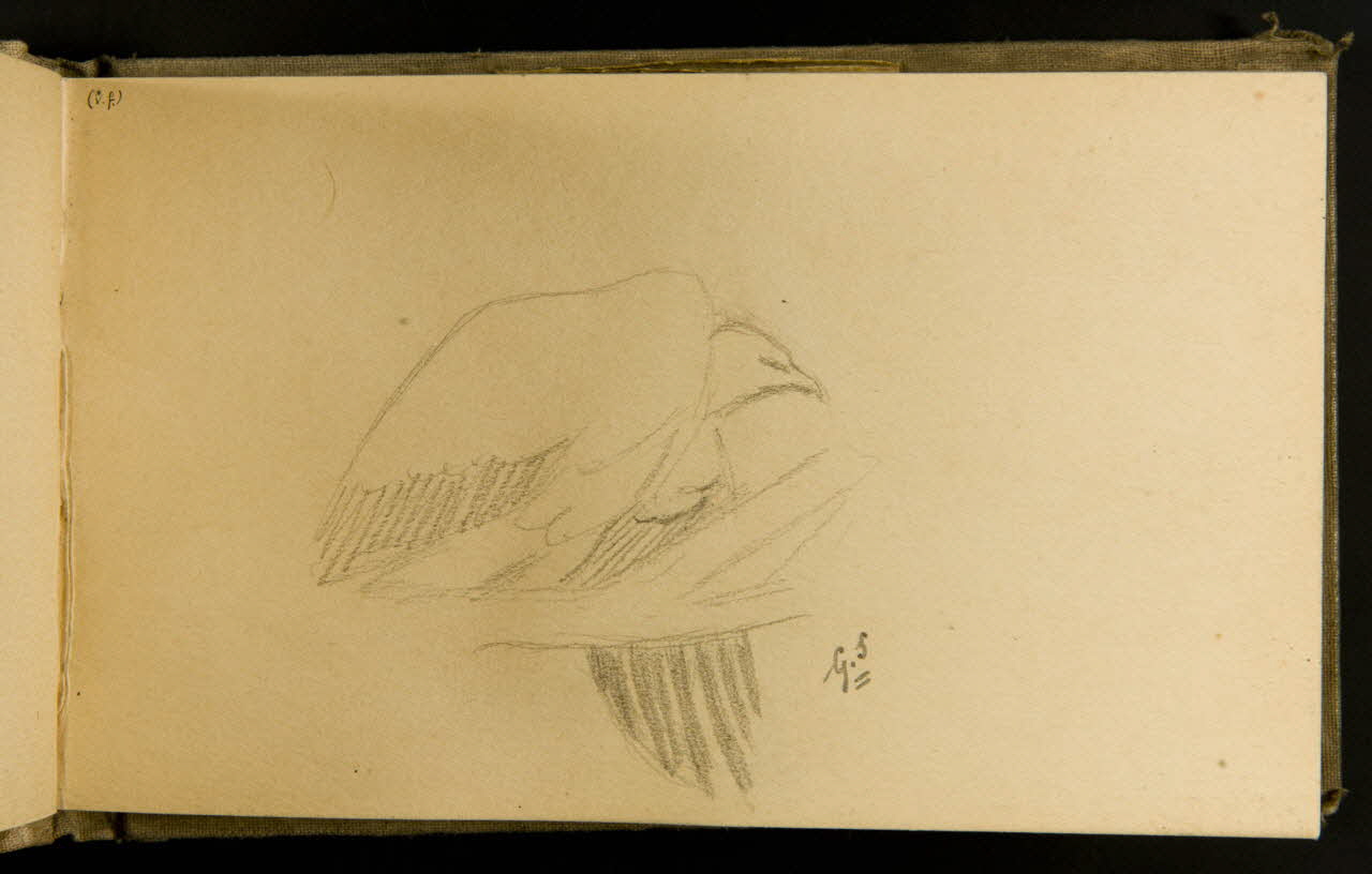 Gustave Soury carnet de dessins Vautour fauve 1903 1967.116.915.7 Photo