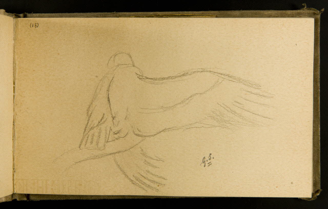 Gustave Soury carnet de dessins Vautour fauve 1903 1967.116.915.8 Photo