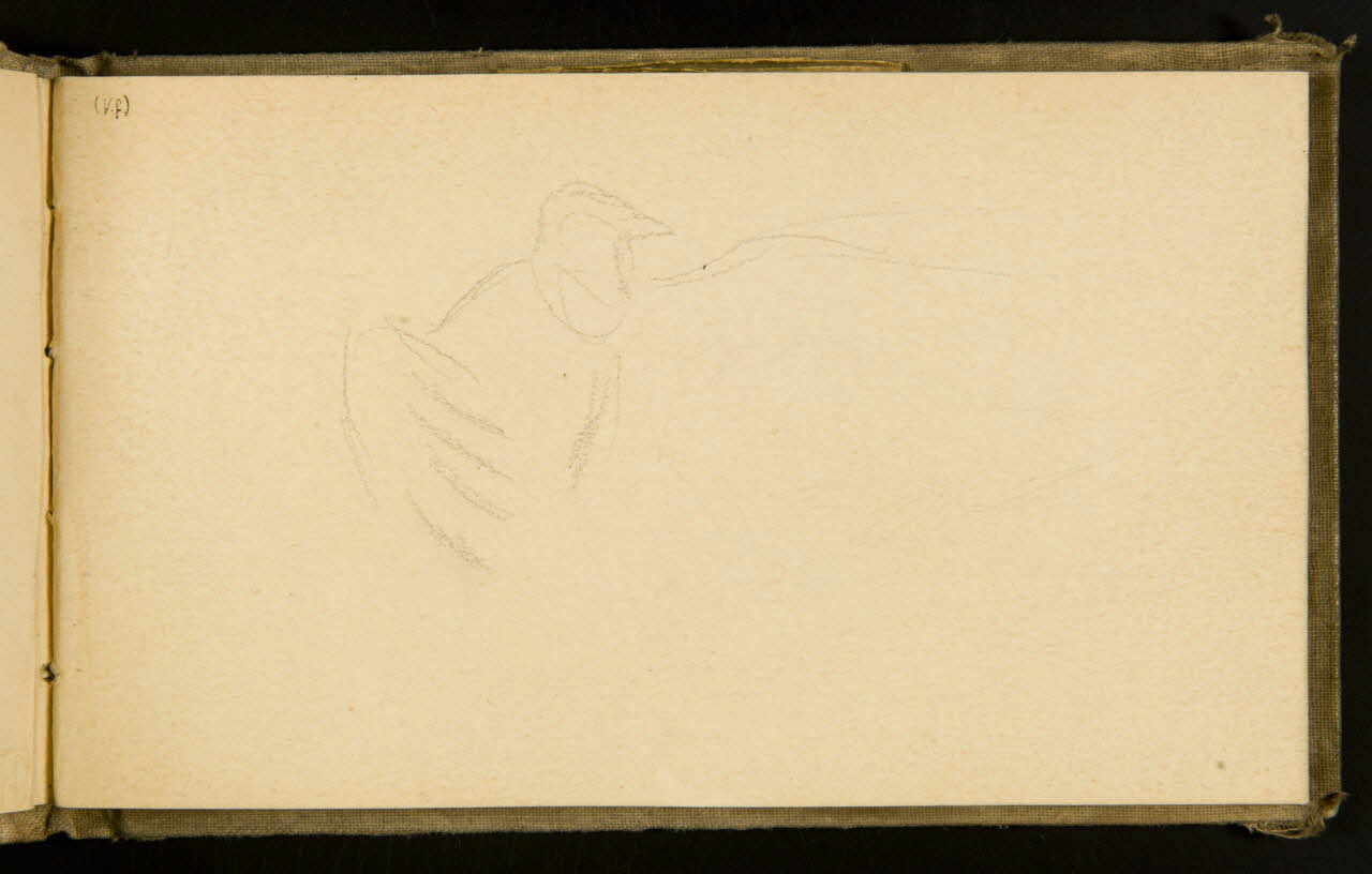 Gustave Soury carnet de dessins Vautour fauve 1903 1967.116.915.9 Photo