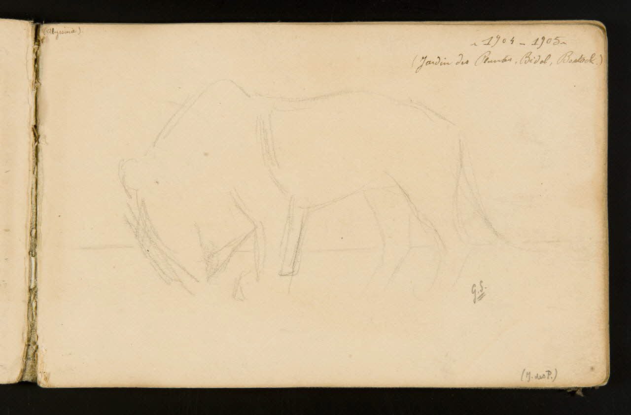 Gustave Soury carnet de dessins Indication de lion debout 1904 1967.116.916.1 Photo