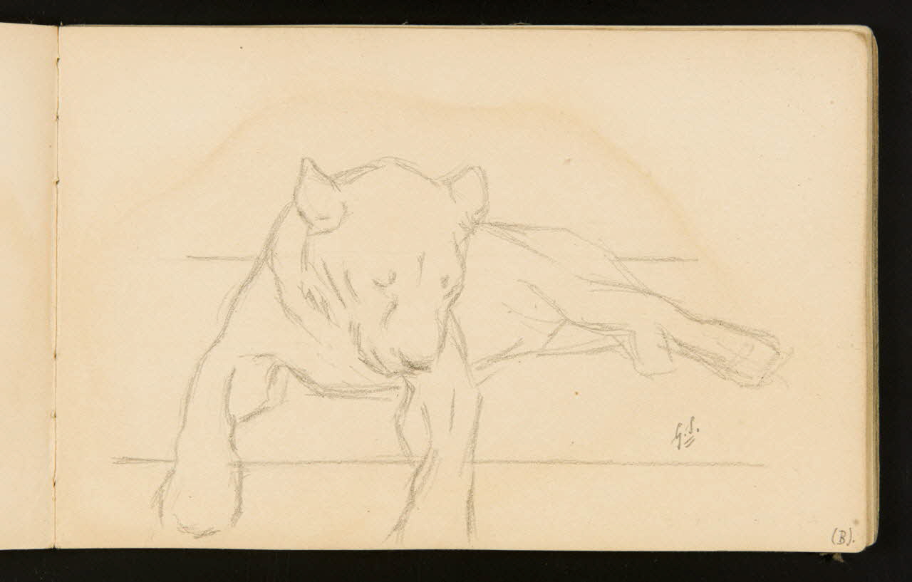 Gustave Soury carnet de dessins Lionne couchée 1904 1967.116.916.10 Photo