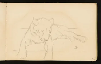 Gustave Soury carnet de dessins Lionne couchée 1904 1967.116.916.10 Photo