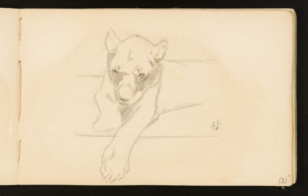 Gustave Soury carnet de dessins Lionne couchée 1904 1967.116.916.11 Photo