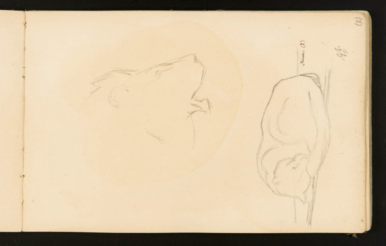 Gustave Soury carnet de dessins Tête de lion rugissant et puma mâle endormi 1904 1967.116.916.12 Photo