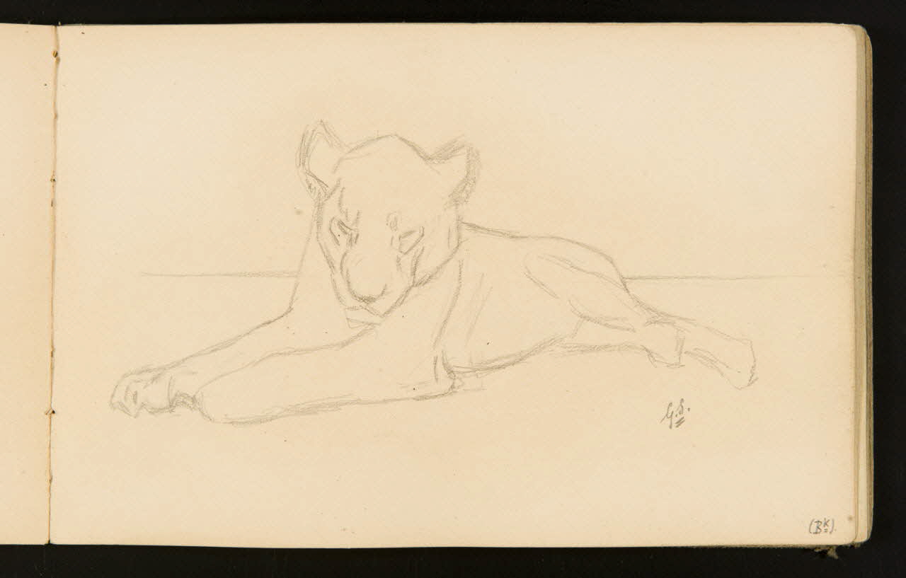 Gustave Soury carnet de dessins Lionne couchée 1904 1967.116.916.13 Photo