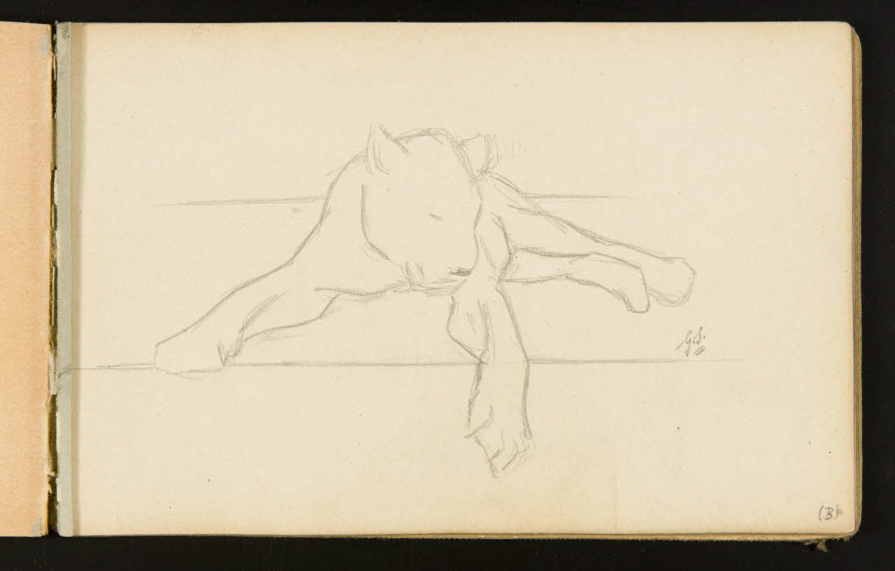 Gustave Soury carnet de dessins Lionne couchée 1904 1967.116.916.15 Photo