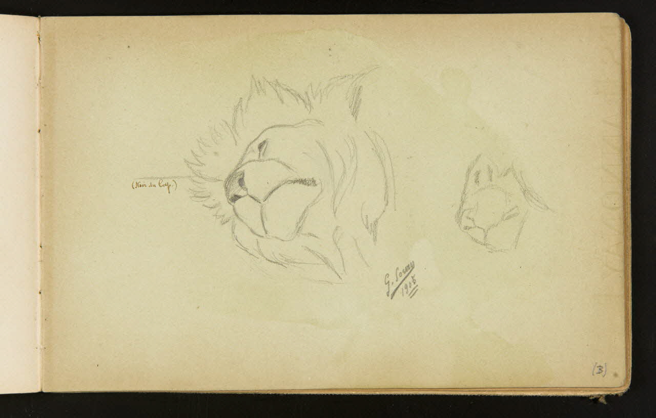 Gustave Soury carnet de dessins Etude d'une tête et d'un mufle de lion 1905 1967.116.916.16 Photo
