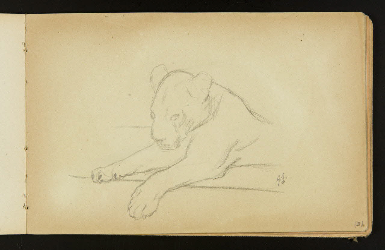 Gustave Soury carnet de dessins Lionne couchée 1904 1967.116.916.19 Photo