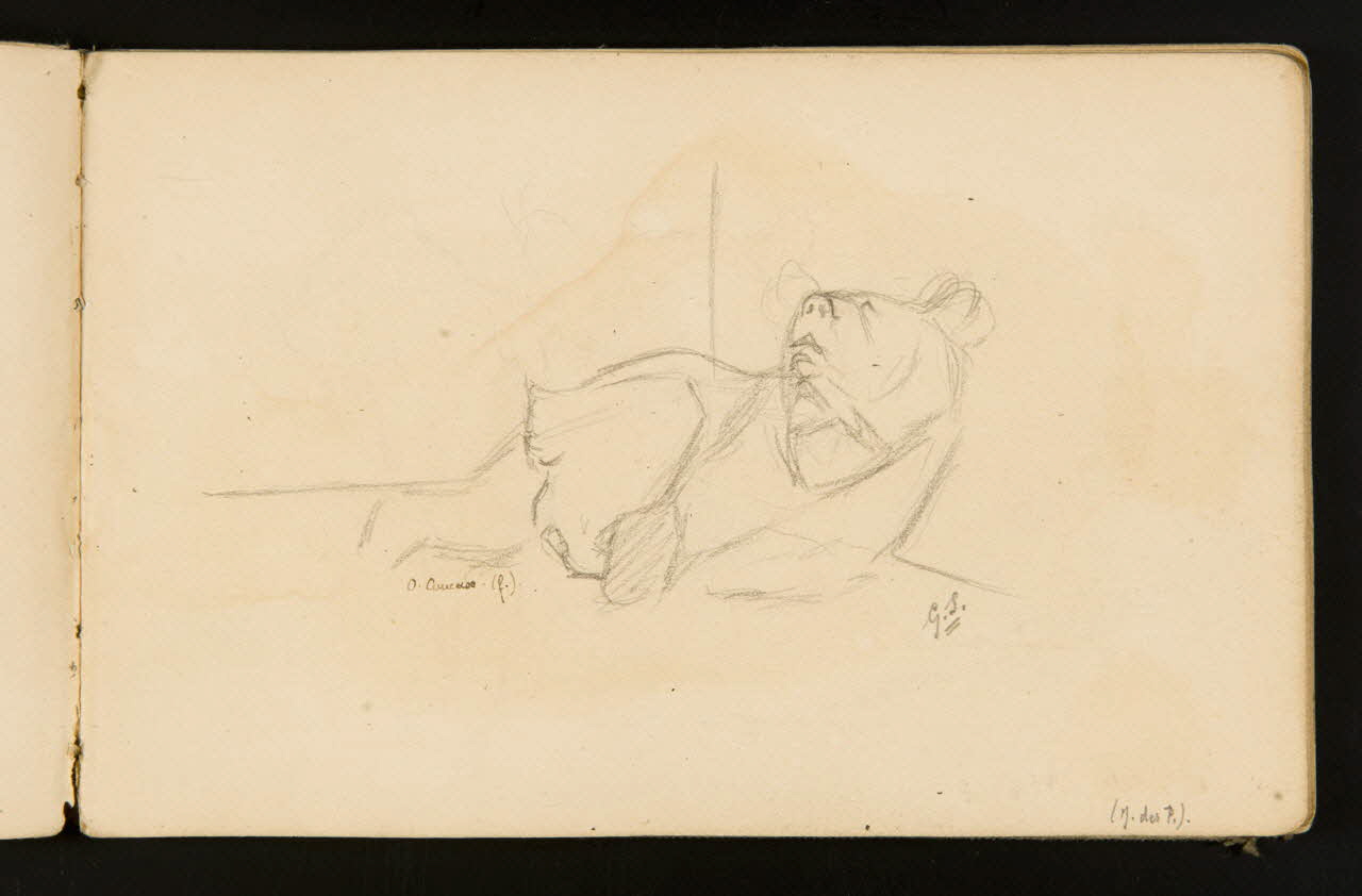 Gustave Soury carnet de dessins Ourse du Caucase couchée 1904 1967.116.916.2 Photo
