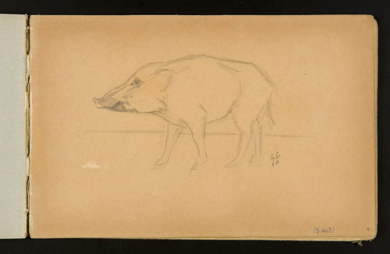Gustave Soury carnet de dessins Pécari 1904 1967.116.916.22 Photo