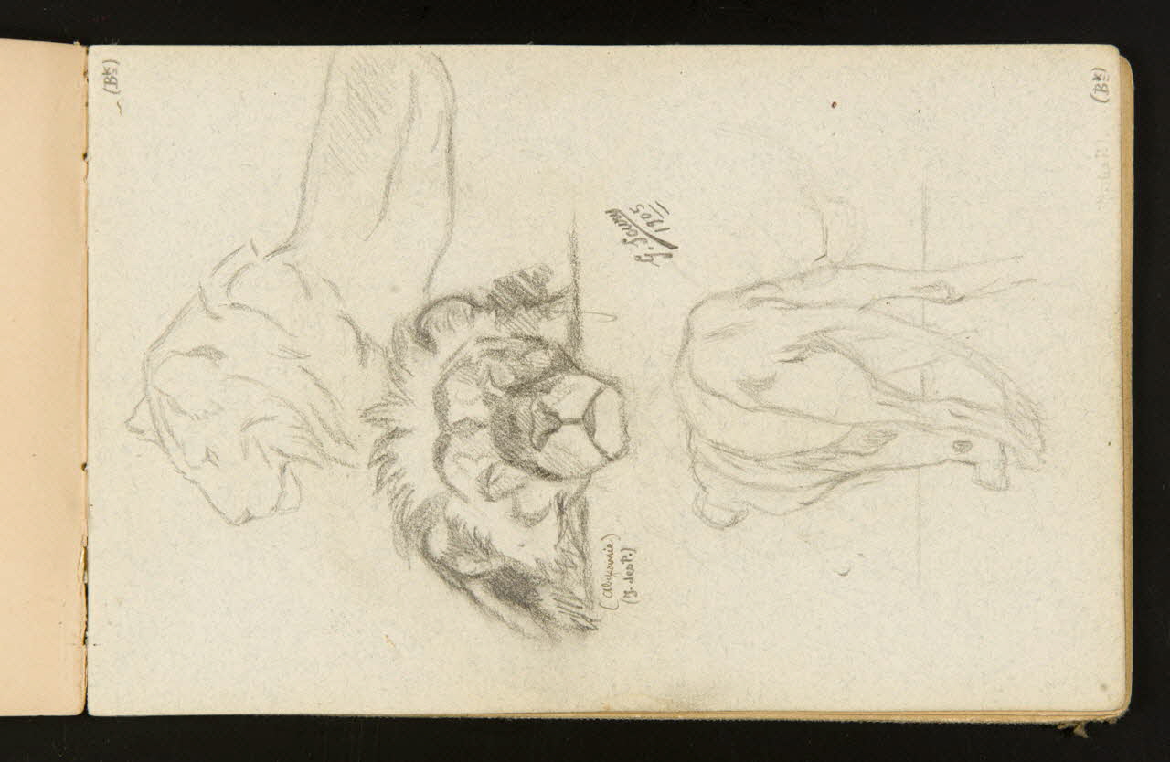 Gustave Soury carnet de dessins Félins debout et couché, tête de lion 1905 1967.116.916.23 Photo