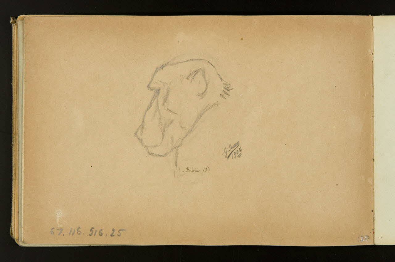 carnet de dessins Tête de singe 1967.116.916.25 Photo