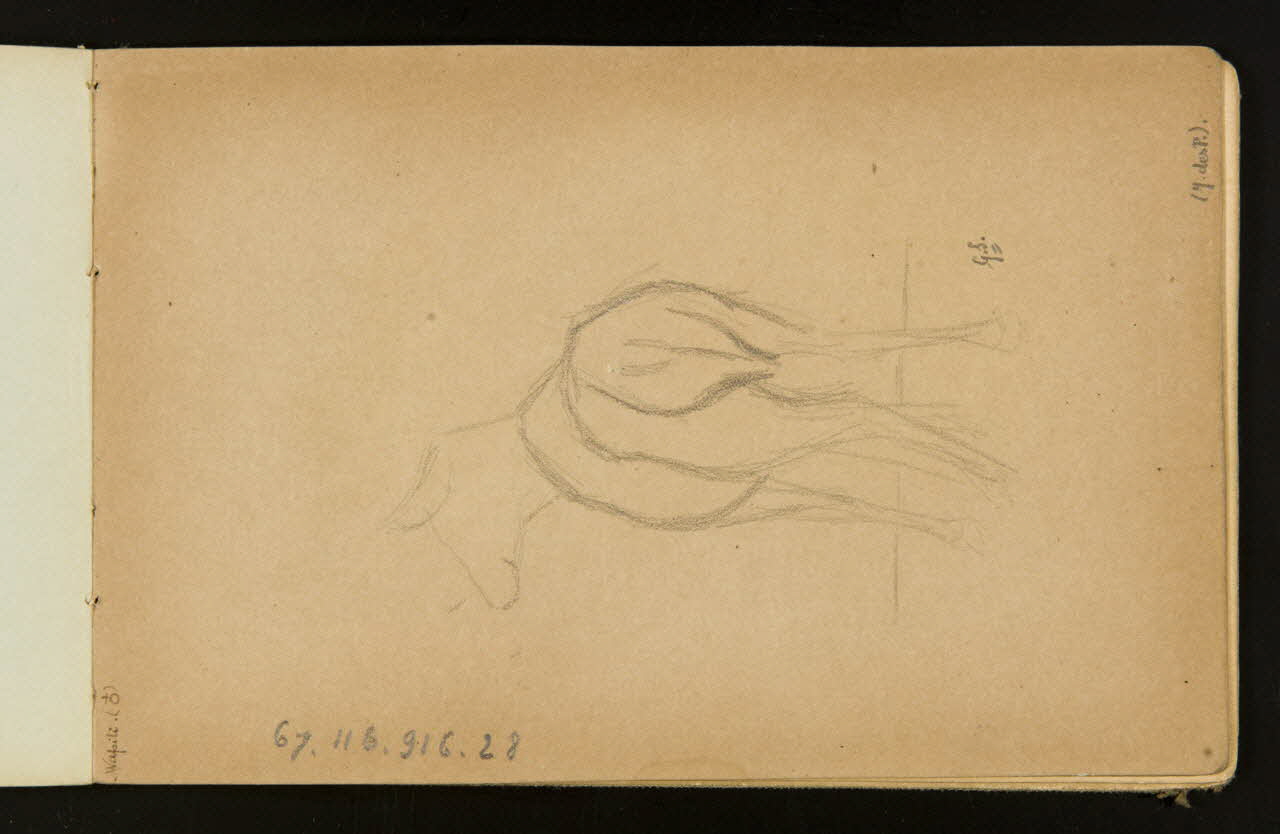 Gustave Soury ensemble (2) Biche wapiti 1905 1967.116.916.28 Photo