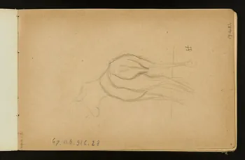 Gustave Soury ensemble (2) Biche wapiti 1905 1967.116.916.28 Photo