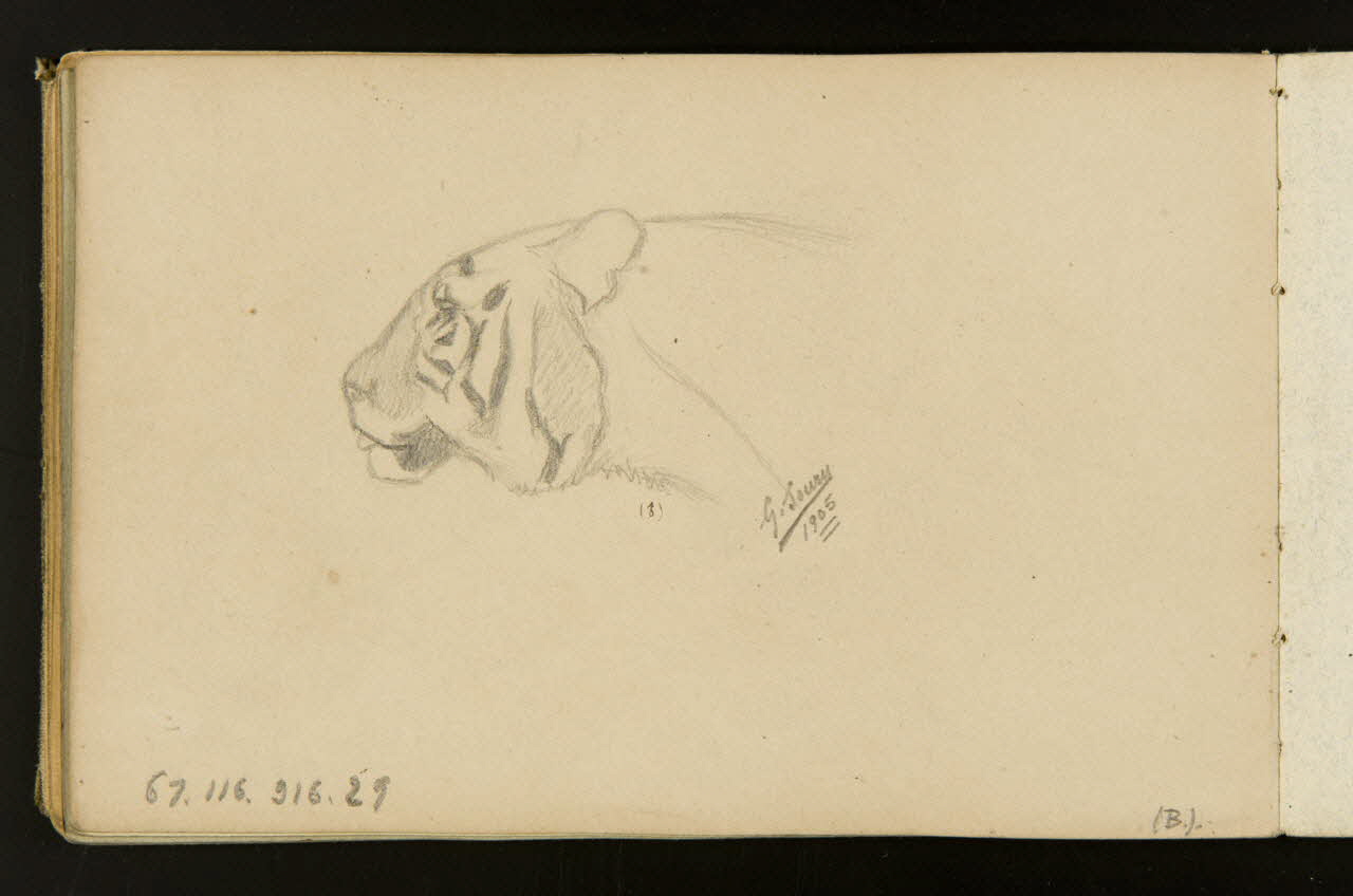 carnet de dessins Tête de tigre 1967.116.916.29 Photo