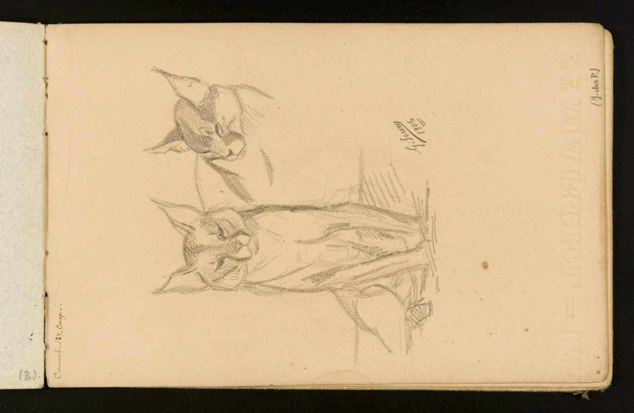 Gustave Soury carnet de dessins Caracals 1905 1967.116.916.32 Photo