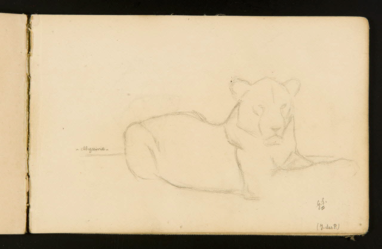 Gustave Soury carnet de dessins Lionne couchée 1904 1967.116.916.33 Photo