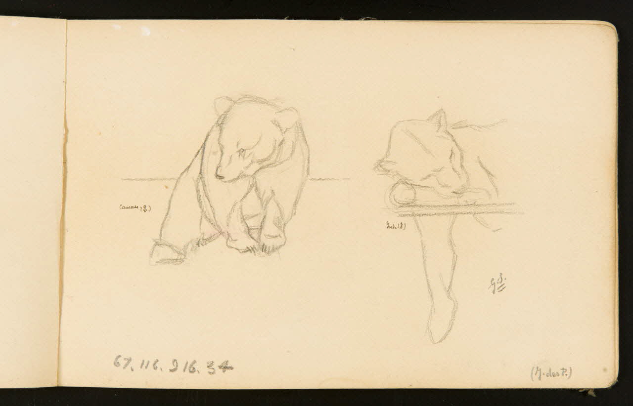 Gustave Soury ensemble (2) Ours et lion 1904 1967.116.916.34 Photo