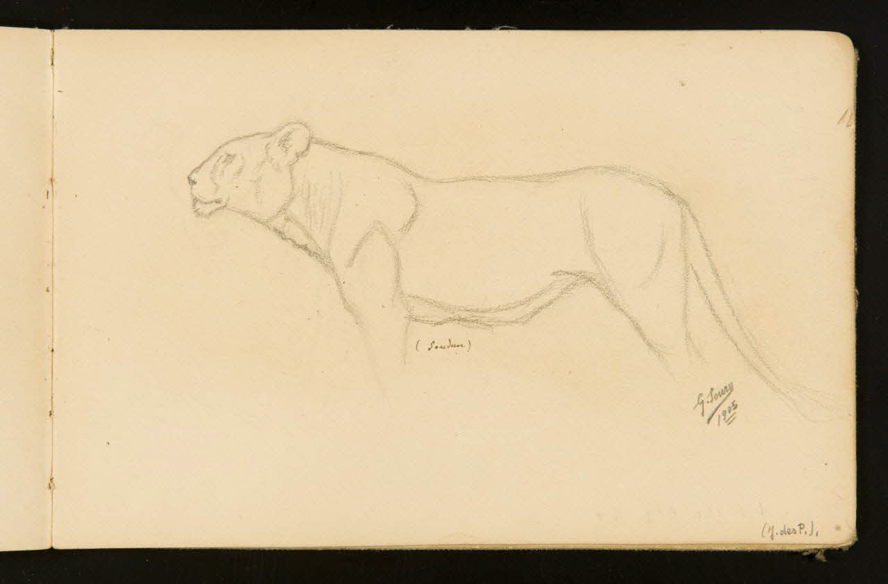 carnet de dessins Lion debout ou 1967.116.916.37 Photo