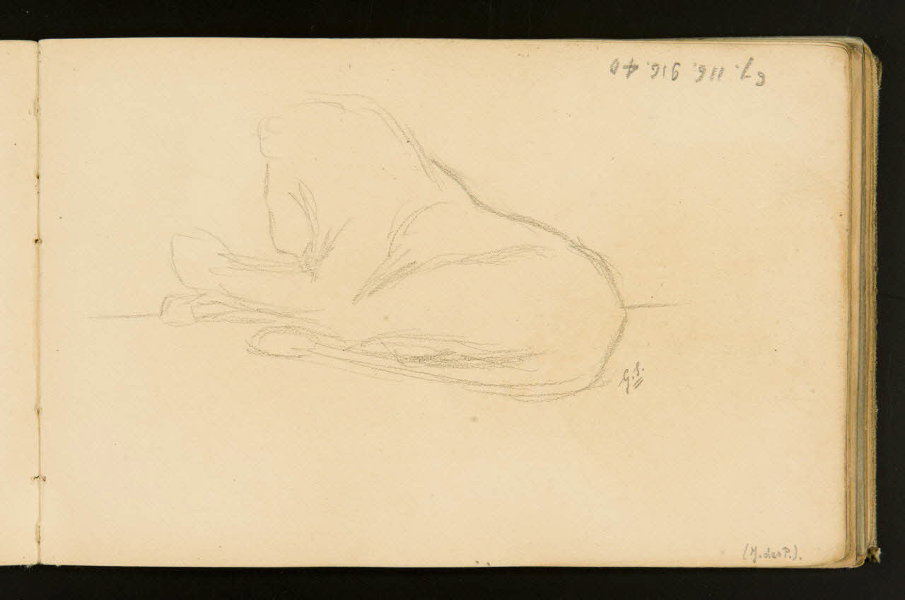 carnet de dessins Lion 1967.116.916.40 Photo