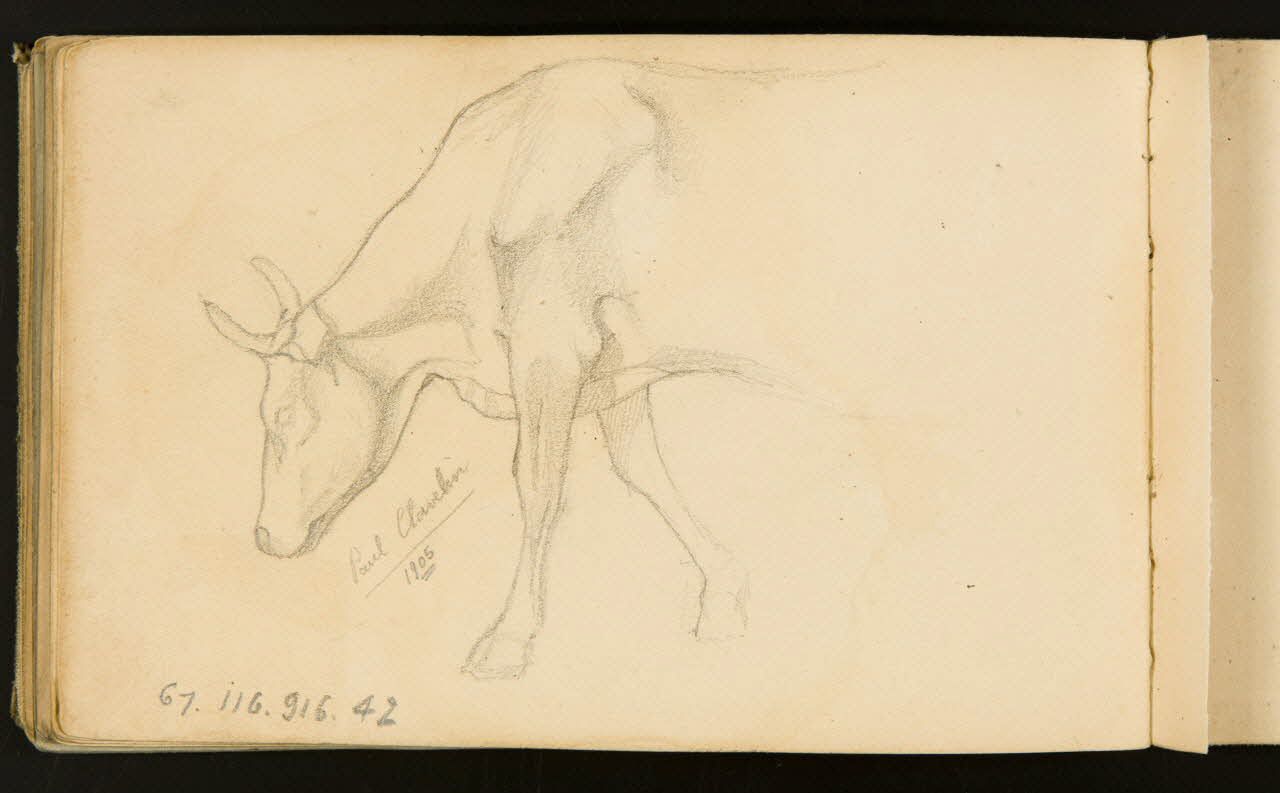 carnet de dessins Vache 1967.116.916.42 Photo