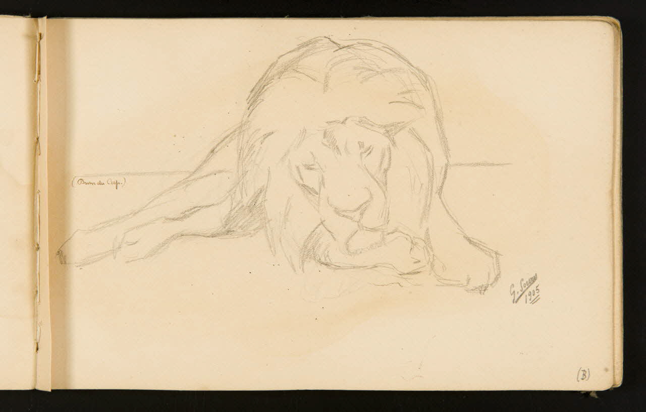 Gustave Soury carnet de dessins Lion couché 1905 1967.116.916.5 Photo