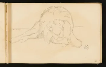 Gustave Soury carnet de dessins Lion couché 1905 1967.116.916.5 Photo