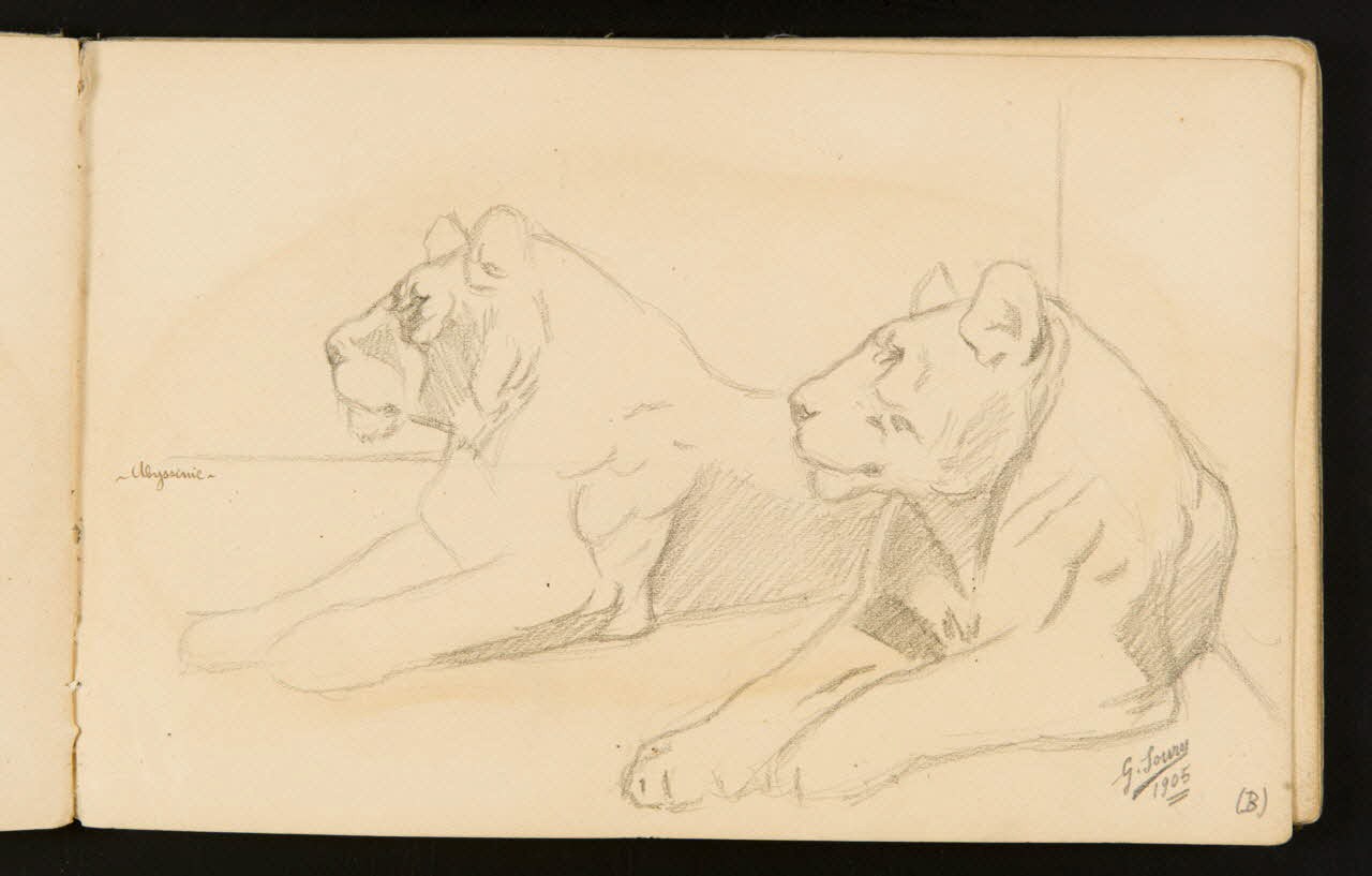 Gustave Soury carnet de dessins Lionnes couchées 1905 1967.116.916.7 Photo