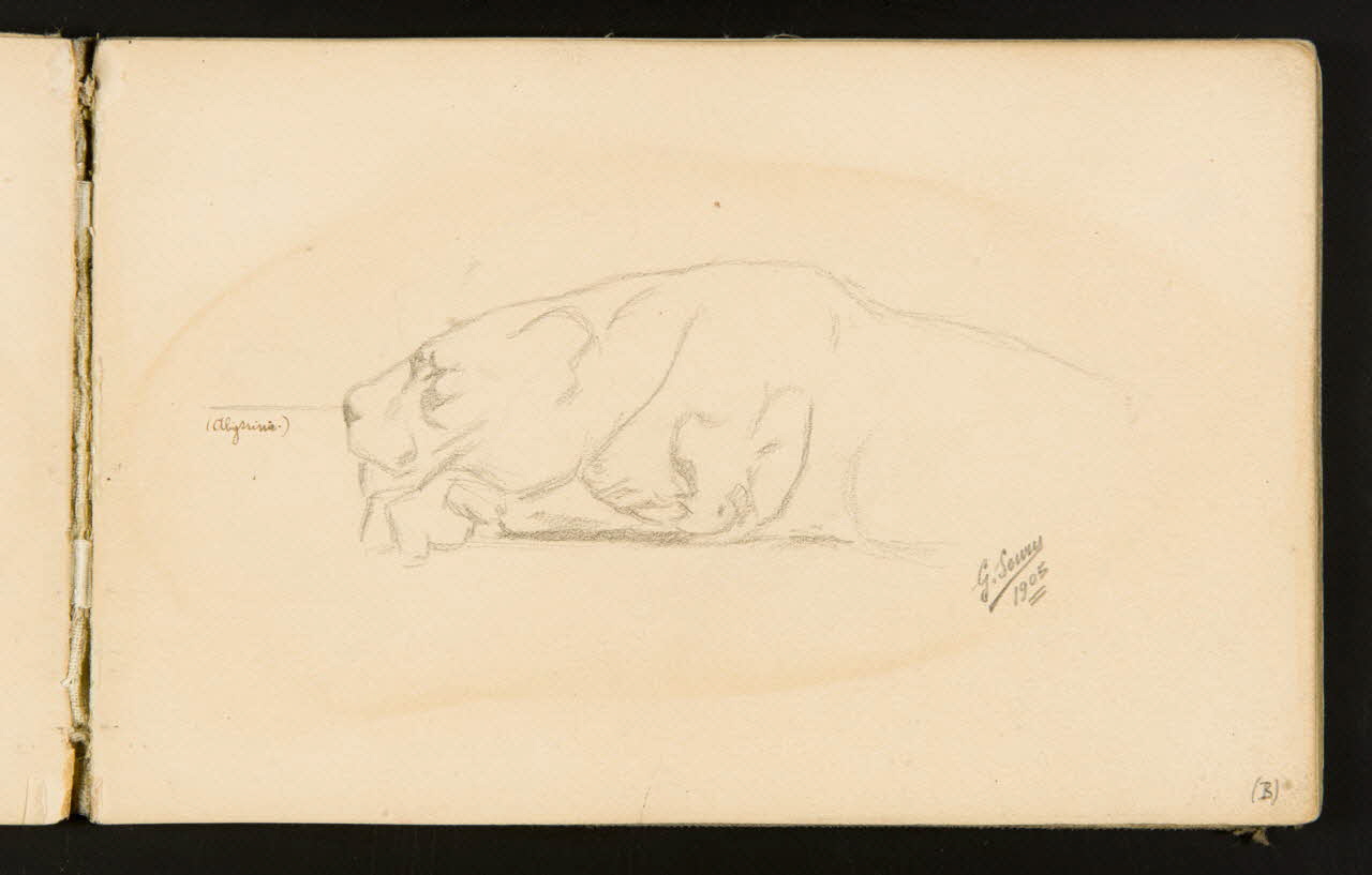 Gustave Soury carnet de dessins Lionne couchée 1905 1967.116.916.8 Photo