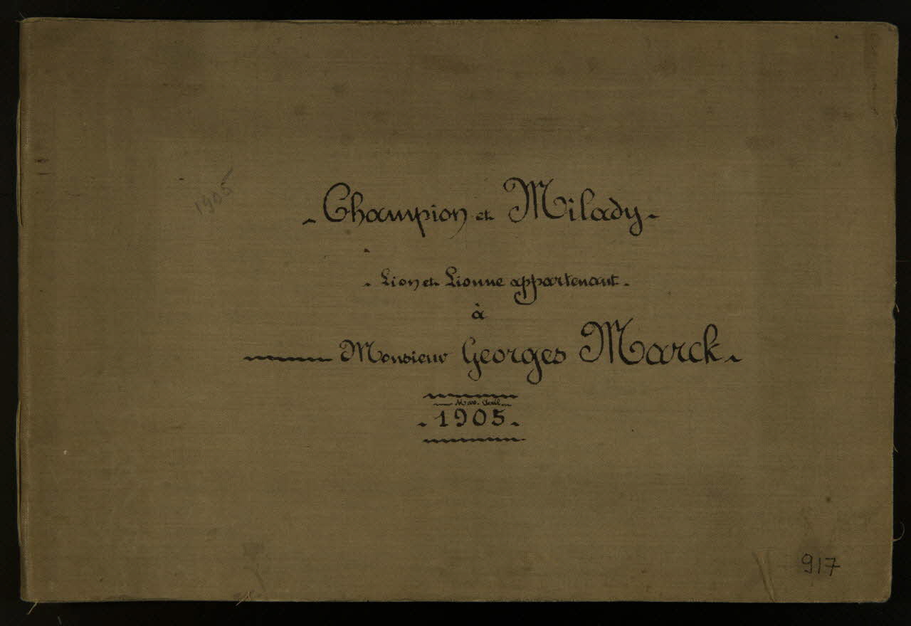 Gustave Soury album Champion et Milady  Lion et Lionne appartenant  à  Monsieur Georges Marck  1905 Paris 1905 1967.116.917.1/17 Photo