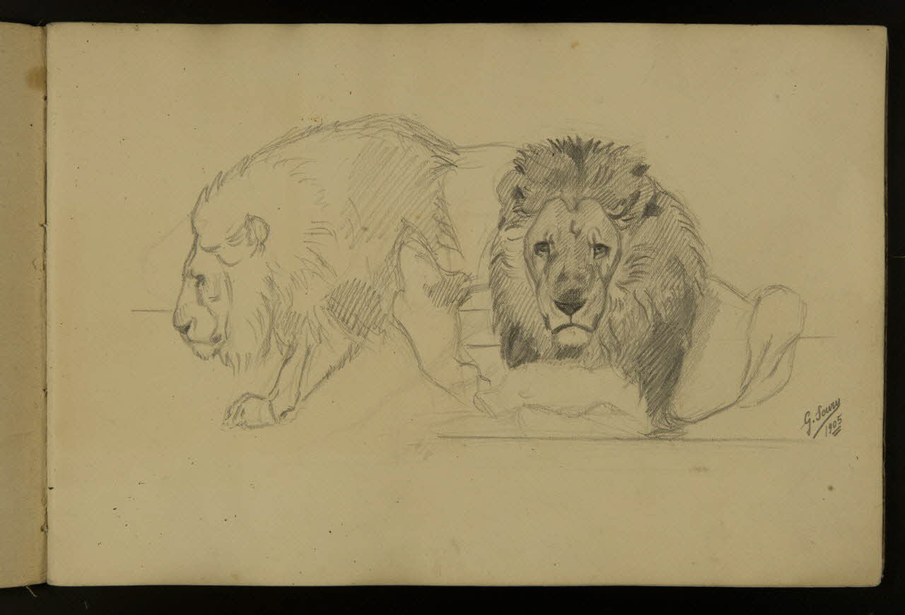 carnet de dessins Etude de lion 1967.116.917.1 Photo