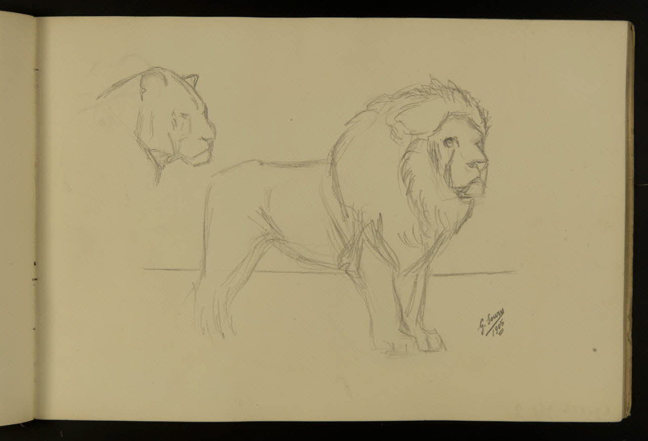 carnet de dessins Etude de lion et lionne 1967.116.917.10 Photo