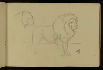 carnet de dessins Etude de lion et lionne 1967.116.917.10 Photo