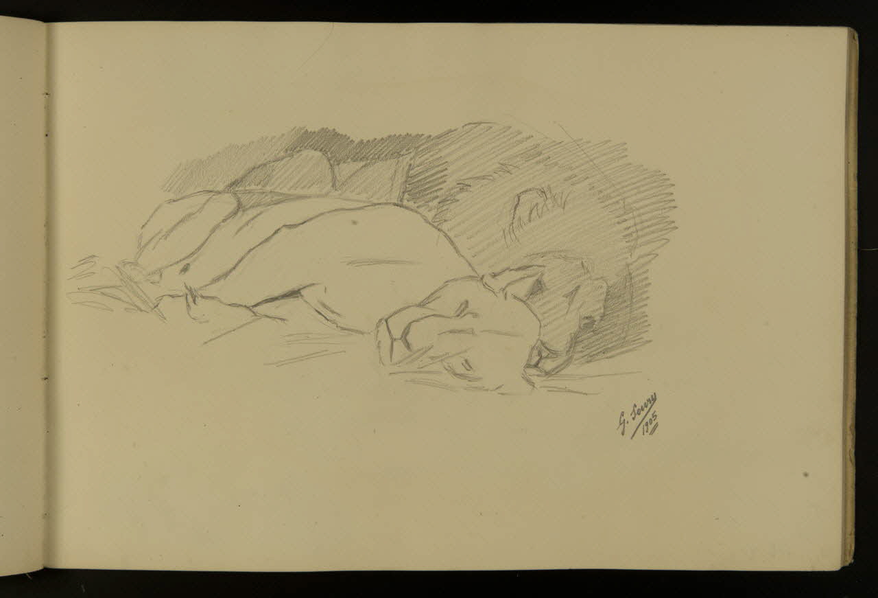 carnet de dessins Etude de lion et lionne 1967.116.917.11 Photo