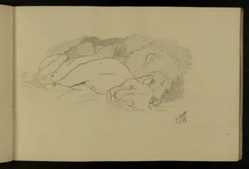 carnet de dessins Etude de lion et lionne 1967.116.917.11 Photo