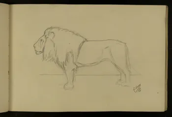carnet de dessins Etude de lion 1967.116.917.12 Photo