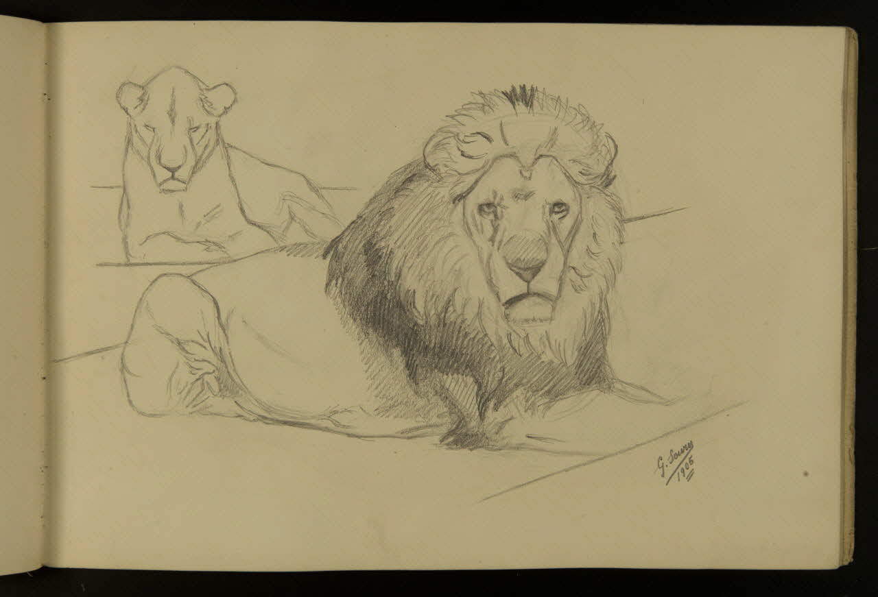 carnet de dessins Etude de lion et lionne 1967.116.917.13 Photo