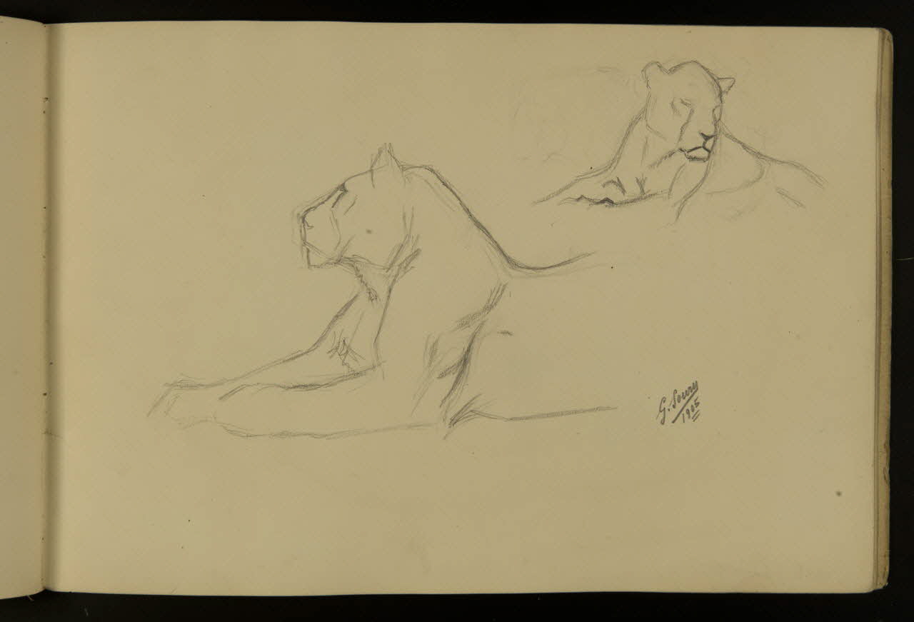 carnet de dessins Etude de lionne 1967.116.917.14 Photo
