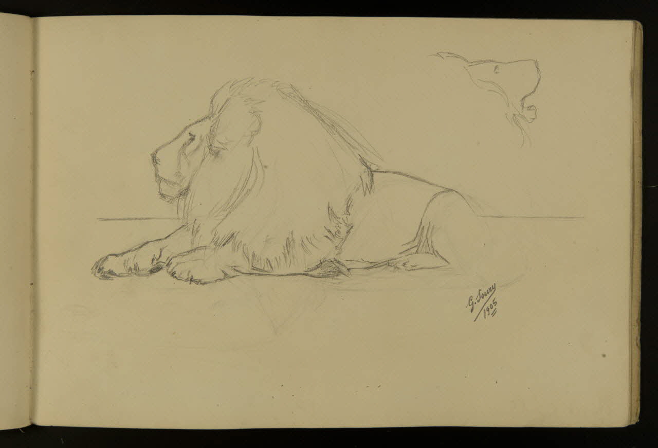 carnet de dessins Etude de lion 1967.116.917.15 Photo