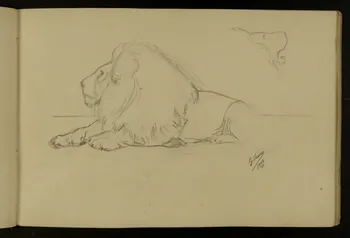 carnet de dessins Etude de lion 1967.116.917.15 Photo