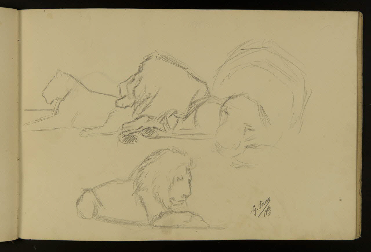 carnet de dessins Etude de lion et lionne 1967.116.917.16 Photo