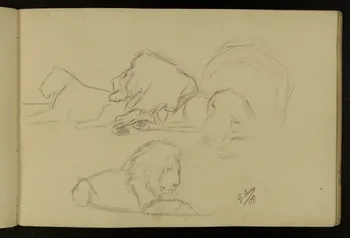 carnet de dessins Etude de lion et lionne 1967.116.917.16 Photo