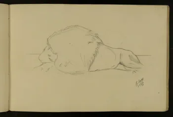 carnet de dessins Etude de lion 1967.116.917.17 Photo
