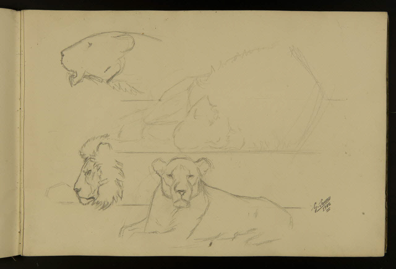 carnet de dessins Etude de lion et lionne 1967.116.917.2 Photo
