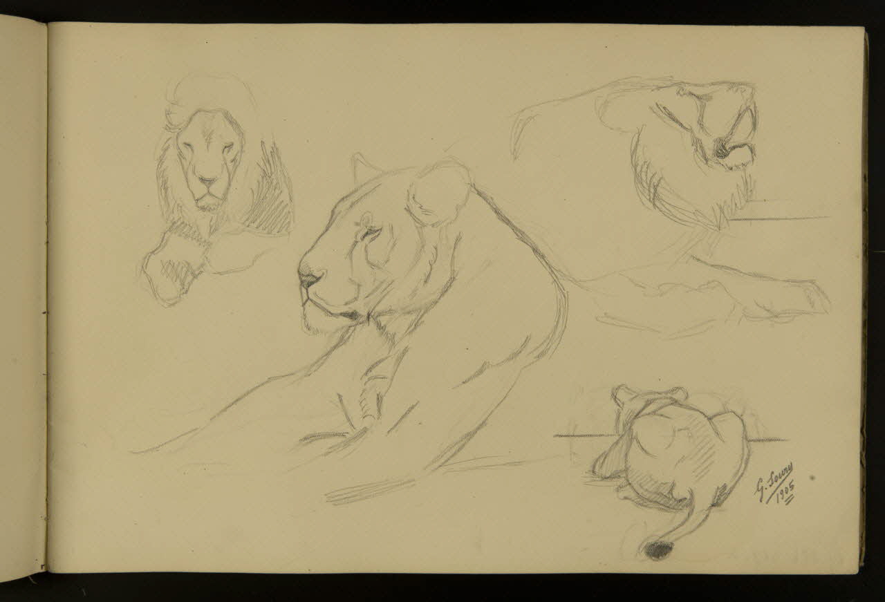 carnet de dessins Etude de lion et lionne 1967.116.917.3 Photo